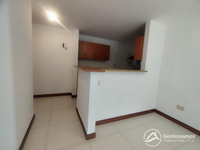 WhatsApp Image 2026-02-10 at 3.21.24 PM.jpeg